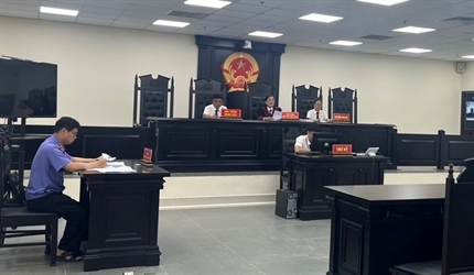 Viện KSND huyện Đan Phượng phối hợp với TAND cùng cấp tổ chức các phiên...